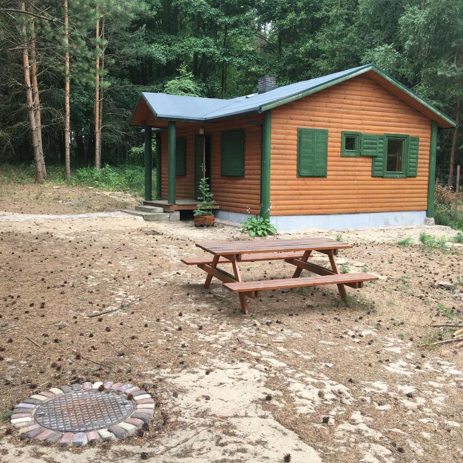 Agroturystyka Oaza Ciszy I Spokoju Miedzychod Exterior photo