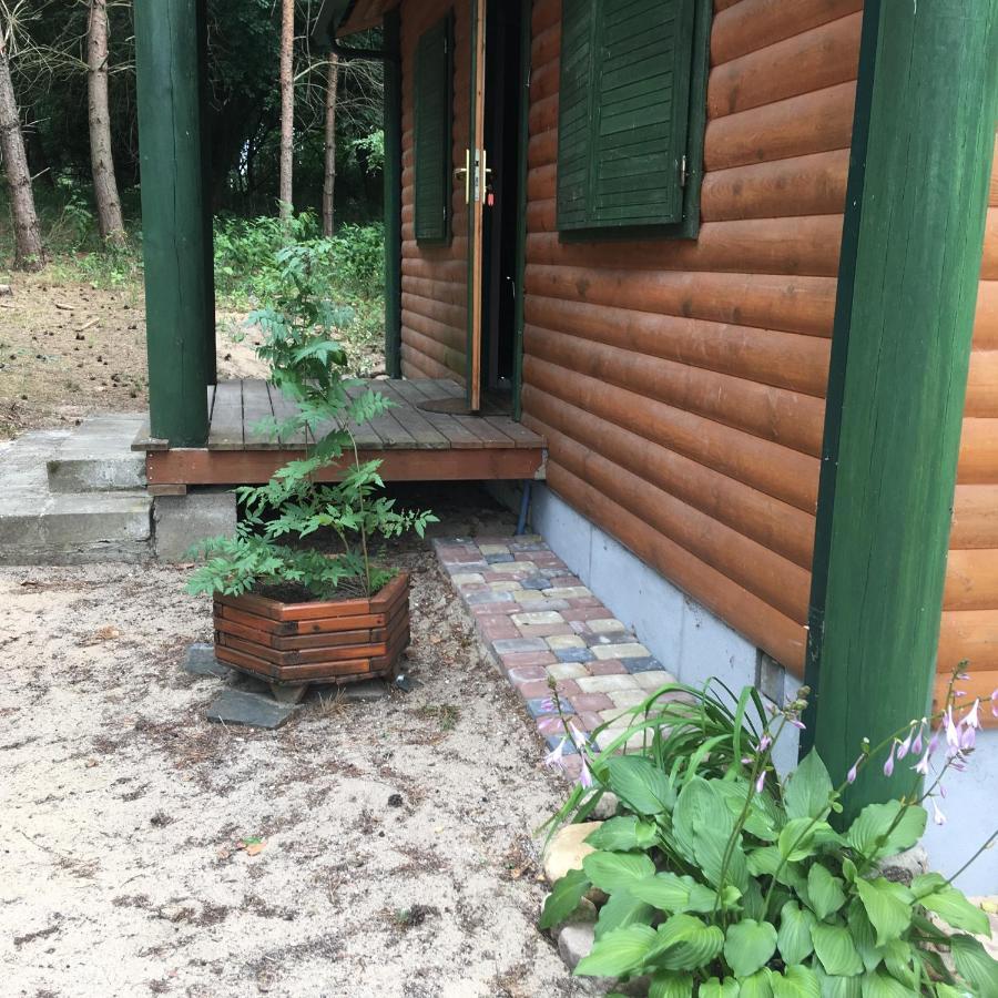 Agroturystyka Oaza Ciszy I Spokoju Miedzychod Exterior photo