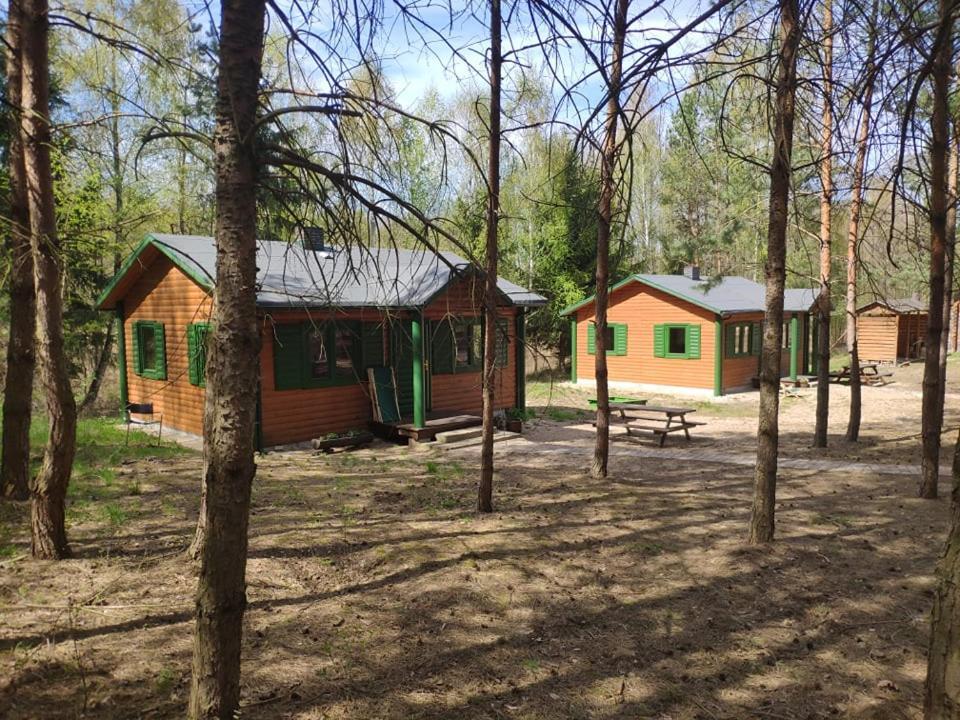 Agroturystyka Oaza Ciszy I Spokoju Miedzychod Exterior photo